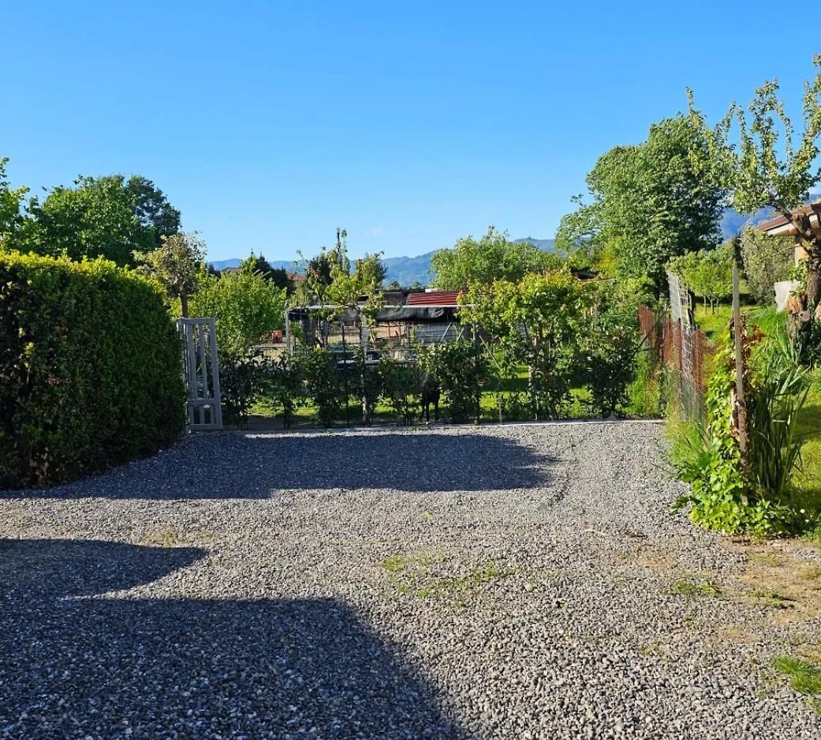 Bright Flat With Private Parking! Lejlighed Lucca